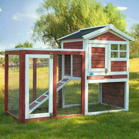 Buy Rabbit Hutch - Low Prices and Free Shipping
