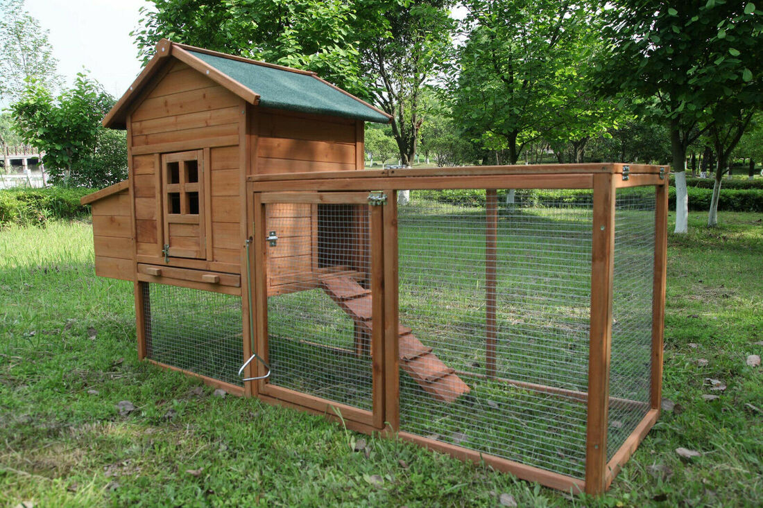 Easy Way to Buy a Chicken Coop or Hen House