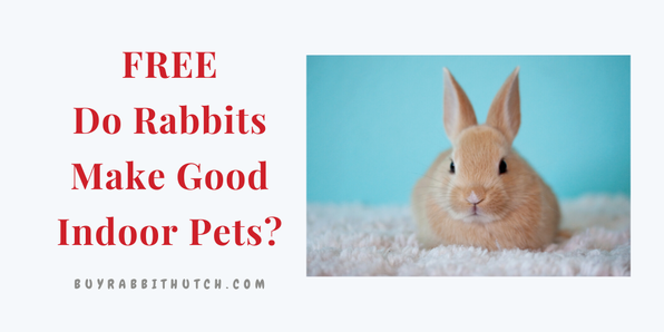 Free Do Rabbits Make Good Indoor Pets Guide