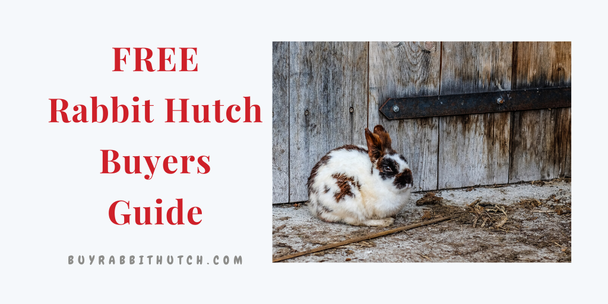 Free Rabbit Hutch Buyers Guide